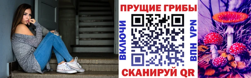 Галлюциногенные грибы Cubensis  Покровск 